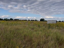 Продається ділянка Житомирська, Житомирський, Вереси, Садова фото 1 Продається ділянка Житомирська, Житомирський, Вереси, Садова фото 1