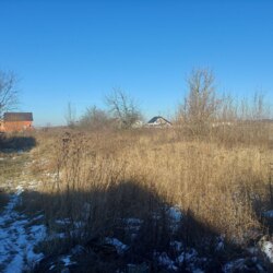 Продається ділянка Житомирська, Черняхівський, Черняхів, Липнева фото 1 Продається ділянка Житомирська, Черняхівський, Черняхів, Липнева фото 1