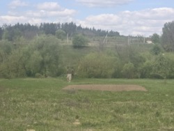 Ділянка 20 соток с.Малі Кошарища фото 13 Ділянка 20 соток с.Малі Кошарища фото 13