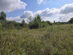 Продаж 15 соток в районі аеропорта (26145164) фото 6 Продаж 15 соток в районі аеропорта (26145164) фото 6