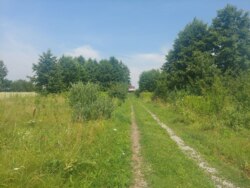 Ділянка 18 соток с.Оліївка фото 4 Ділянка 18 соток с.Оліївка фото 4