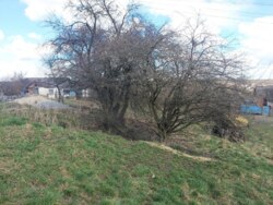 Продається ділянка Житомирська, Житомирський, Пряжів, Б.Хмельницького фото 3 Продається ділянка Житомирська, Житомирський, Пряжів, Б.Хмельницького фото 3