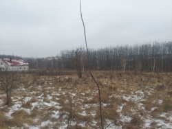 Продаж земельної ділянки12 сот. в с.Станишівка.(26123029) фото 3 Продаж земельної ділянки12 сот. в с.Станишівка.(26123029) фото 3