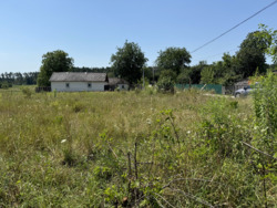 ĳ   20 . .ϳ (26145047)  3