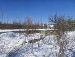 ĳ����� �� ������� �������� � ����������� ���� 8