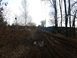 Продаж ділянки в кінці с.Пряжів фото 2 Продаж ділянки в кінці с.Пряжів фото 2