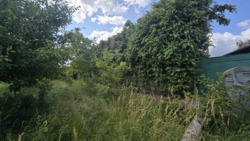 Ділянка варта уваги! Пряжів, 29 соток фото 5 Ділянка варта уваги! Пряжів, 29 соток фото 5