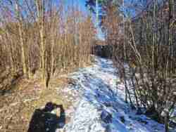 Ділянка 'Дачне' Новогуйвинське фото 5 Ділянка 'Дачне' Новогуйвинське фото 5