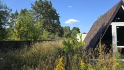 ĳ          (26142819)  21