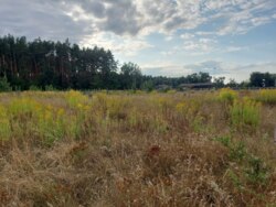 Ділянка на початку с.Вереси (26135505) фото 1 Ділянка на початку с.Вереси (26135505) фото 1