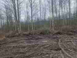 ĳ����� 20 ���. �볿��� (26159460) ���� 7