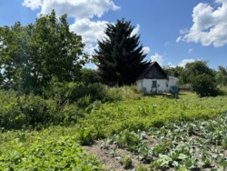 Продається ділянка Житомирська, Житомирський, Тетерівка, Піонерська фото 1 Продається ділянка Житомирська, Житомирський, Тетерівка, Піонерська фото 1