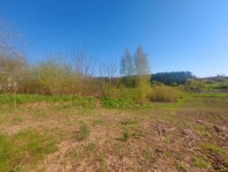 Ділянка з старим будинком Скоморохи з виходом до річки фото 3 Ділянка з старим будинком Скоморохи з виходом до річки фото 3