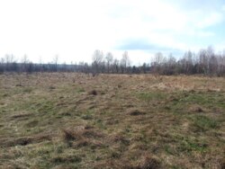   .,  +25   (26141860)  8