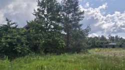 Ділянка варта уваги! Пряжів, 29 соток фото 10 Ділянка варта уваги! Пряжів, 29 соток фото 10