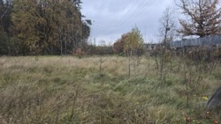 Продаж ділянки 15 соток в с.Іванівка фото 2 Продаж ділянки 15 соток в с.Іванівка фото 2