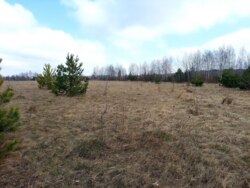 Ділянка 10,5 соток під будинок в с.Садки (26133795) фото 5 Ділянка 10,5 соток під будинок в с.Садки (26133795) фото 5