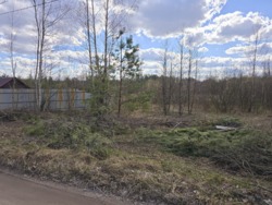 Ділянка в Іванівці навпроти лісу фото 6 Ділянка в Іванівці навпроти лісу фото 6