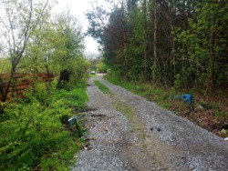 ĳ          (26142819)  2