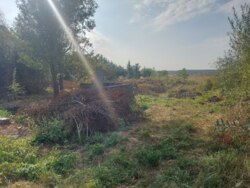 Продається ділянка Житомирська, Житомирський, Оліївка, Молодіжна фото 5 Продається ділянка Житомирська, Житомирський, Оліївка, Молодіжна фото 5