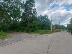 Продається ділянка Житомирська, Житомирський, Новогуйвинське, 'Любава' фото 1 Продається ділянка Житомирська, Житомирський, Новогуйвинське, 'Любава' фото 1