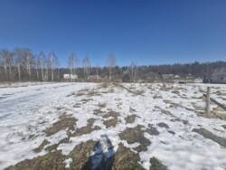 ������ 16,5 ��� � ��������.(26159236) ���� 4