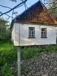    14,6 .  ..(26143857)  3