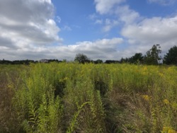 Продаж земельної ділянки в районі аеропорта (2691965) фото 3 Продаж земельної ділянки в районі аеропорта (2691965) фото 3