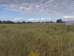 Продається ділянка Житомирська, Житомирський, Вереси, Садова фото 2 Продається ділянка Житомирська, Житомирський, Вереси, Садова фото 2