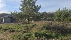 Продаж ділянки 30 сот. на Богунії. (2693722) фото 4 Продаж ділянки 30 сот. на Богунії. (2693722) фото 4