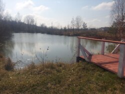 Ділянка 30 соток в с.Садки біля лісу (26140269) фото 10 Ділянка 30 соток в с.Садки біля лісу (26140269) фото 10