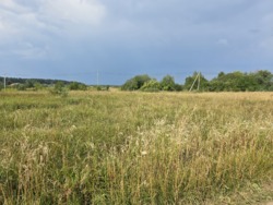   15   . (26116995)  3