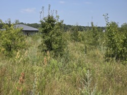 Продаж ділянки в районі Богунського кар'єру фото 2 Продаж ділянки в районі Богунського кар'єру фото 2