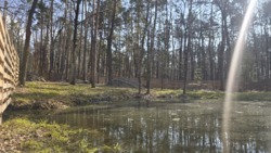 ĳ����� 20 ����� � ������� �� ������ ������� ��� ���� 7