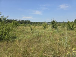 Продаж ділянки в районі Богунського кар'єру фото 3 Продаж ділянки в районі Богунського кар'єру фото 3