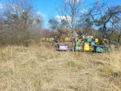   25   . (26105789)  6