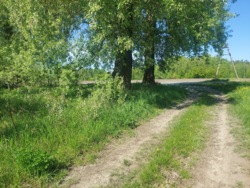 Продаж ділянки 50 соток с.Млинище (26144870) фото 1 Продаж ділянки 50 соток с.Млинище (26144870) фото 1