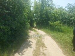 Ділянка на Богунії біля озера фото 3 Ділянка на Богунії біля озера фото 3