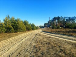  2,44       .'(26105783)  1