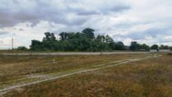 Продаж ділянки 15 сот. Кам'янка фото 6 Продаж ділянки 15 сот. Кам'янка фото 6