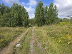 Продається ділянка Житомирська, Житомир, Аеропорт, Коростенська вул. фото 12 Продається ділянка Житомирська, Житомир, Аеропорт, Коростенська вул. фото 12