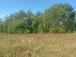 Ділянка 27 соток на початку с.Дениші фото 8 Ділянка 27 соток на початку с.Дениші фото 8