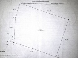 Фасадна ділянка, Оліївка 1,2га комерційного призначення (26126266) фото 4 Фасадна ділянка, Оліївка 1,2га комерційного призначення (26126266) фото 4
