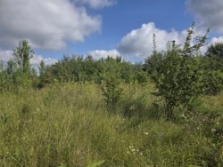 Продаж 15 соток в районі аеропорта (26145164) фото 4 Продаж 15 соток в районі аеропорта (26145164) фото 4