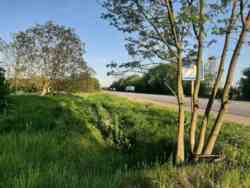    14,6 .  ..(26143857)  7