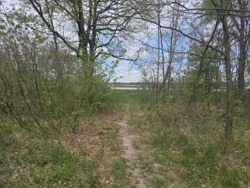 Продаж фасадної ділянки с.Березина фото 5 Продаж фасадної ділянки с.Березина фото 5