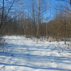 Продаж ділянки 12 соток в Оліївці (26140433) фото 7 Продаж ділянки 12 соток в Оліївці (26140433) фото 7