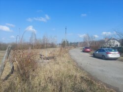 Ділянка 15 соток с.Садки (26141861) фото 1 Ділянка 15 соток с.Садки (26141861) фото 1