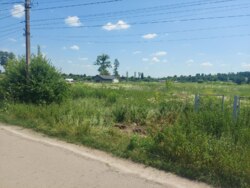 Продається ділянка Житомирська, Житомирський, Млинище, Люби Кучер фото 5 Продається ділянка Житомирська, Житомирський, Млинище, Люби Кучер фото 5