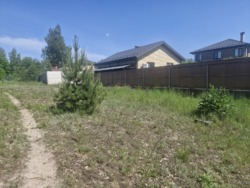 Продаж ділянки с.Тетерівка, крайня до річки фото 3 Продаж ділянки с.Тетерівка, крайня до річки фото 3